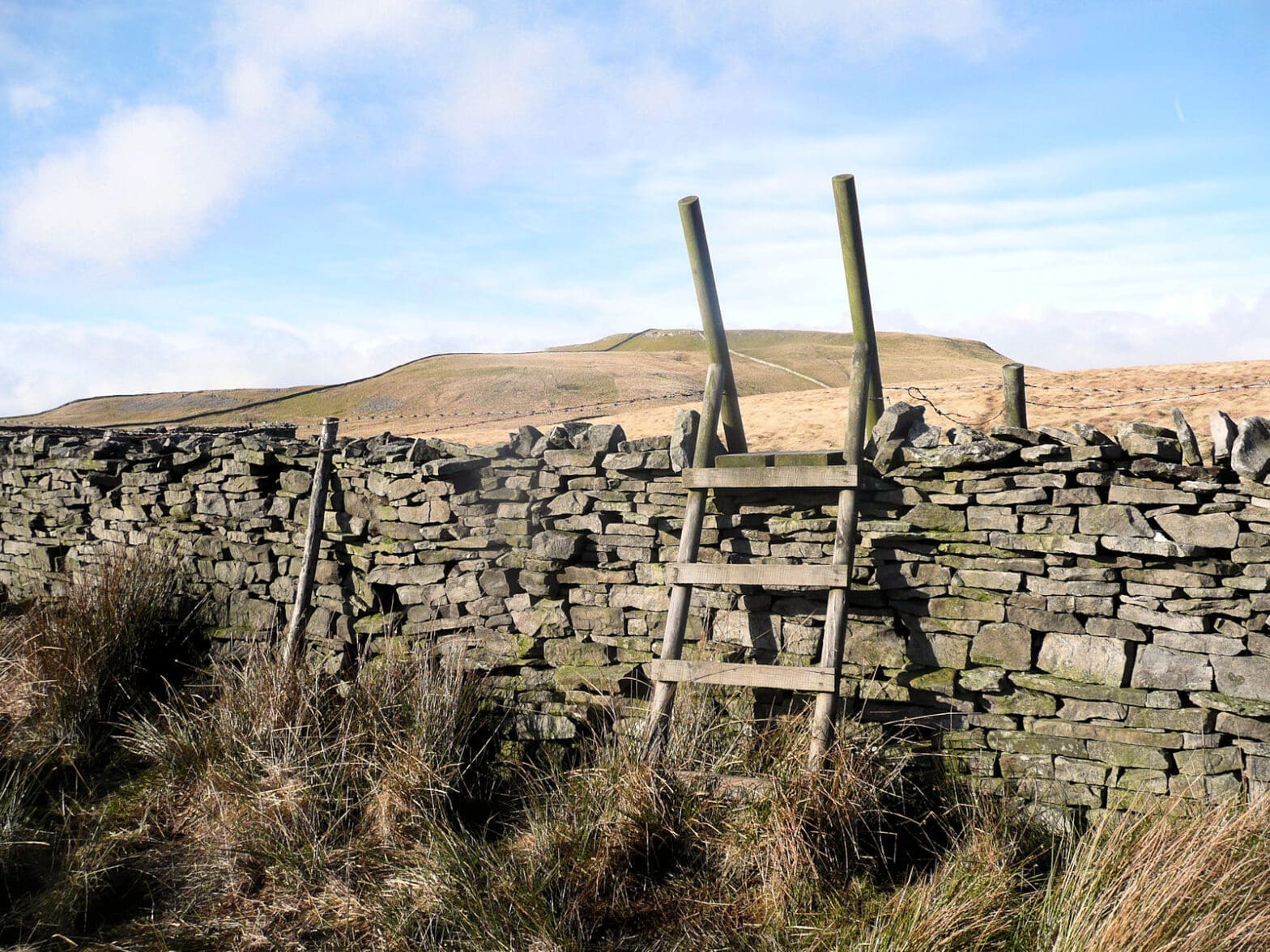 Dales 30