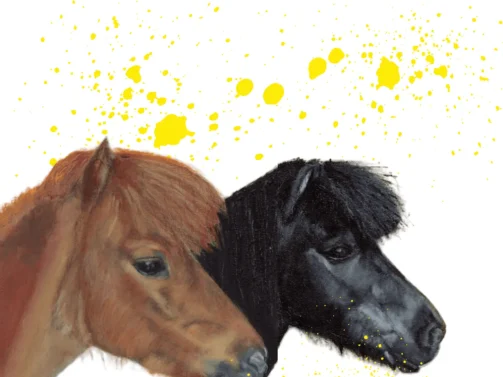 VK Oils Has a Fresh New Look